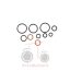 Σετ όρινγκ τάκου εμπρός διαφορικού Massey Ferguson 7400-7600-8400